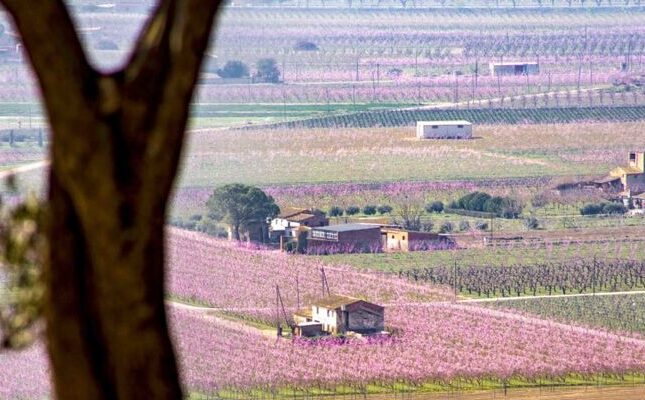 Ribera en flor