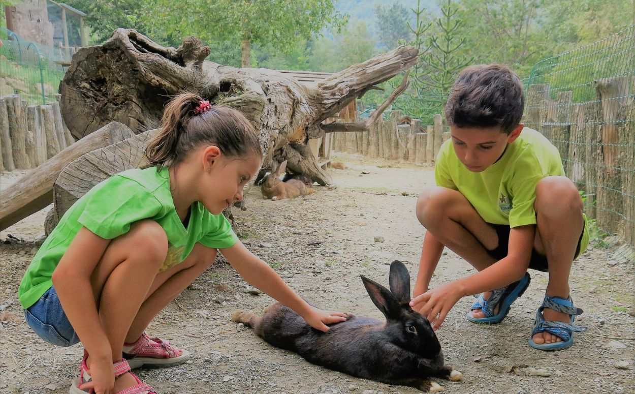 Un nen i una nena acariciant un conill al Moll Parc