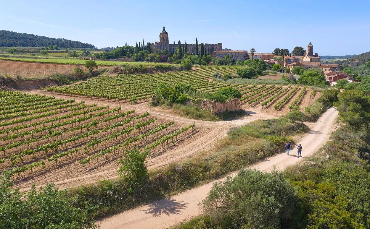 Monestir de Santes Creus