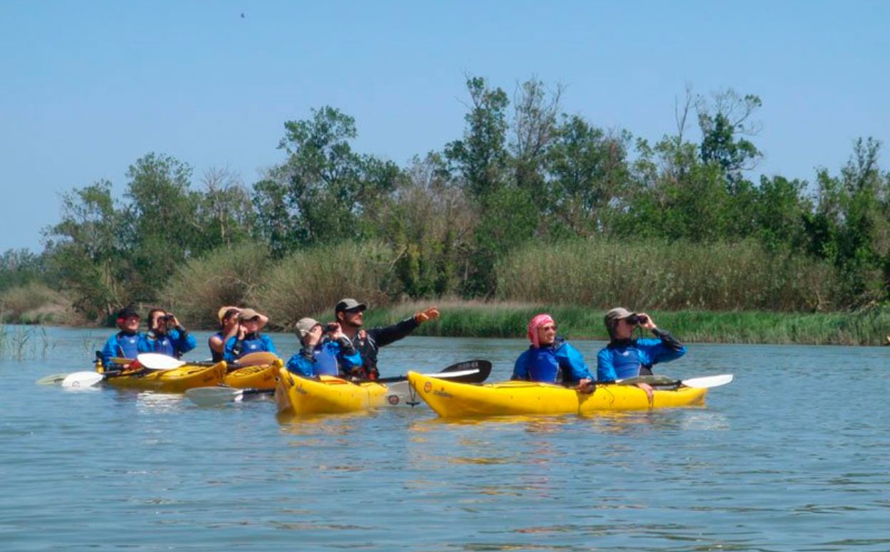 Ornitocaiac als Aiguamolls de l'Empord, a Sant Pere Pescador