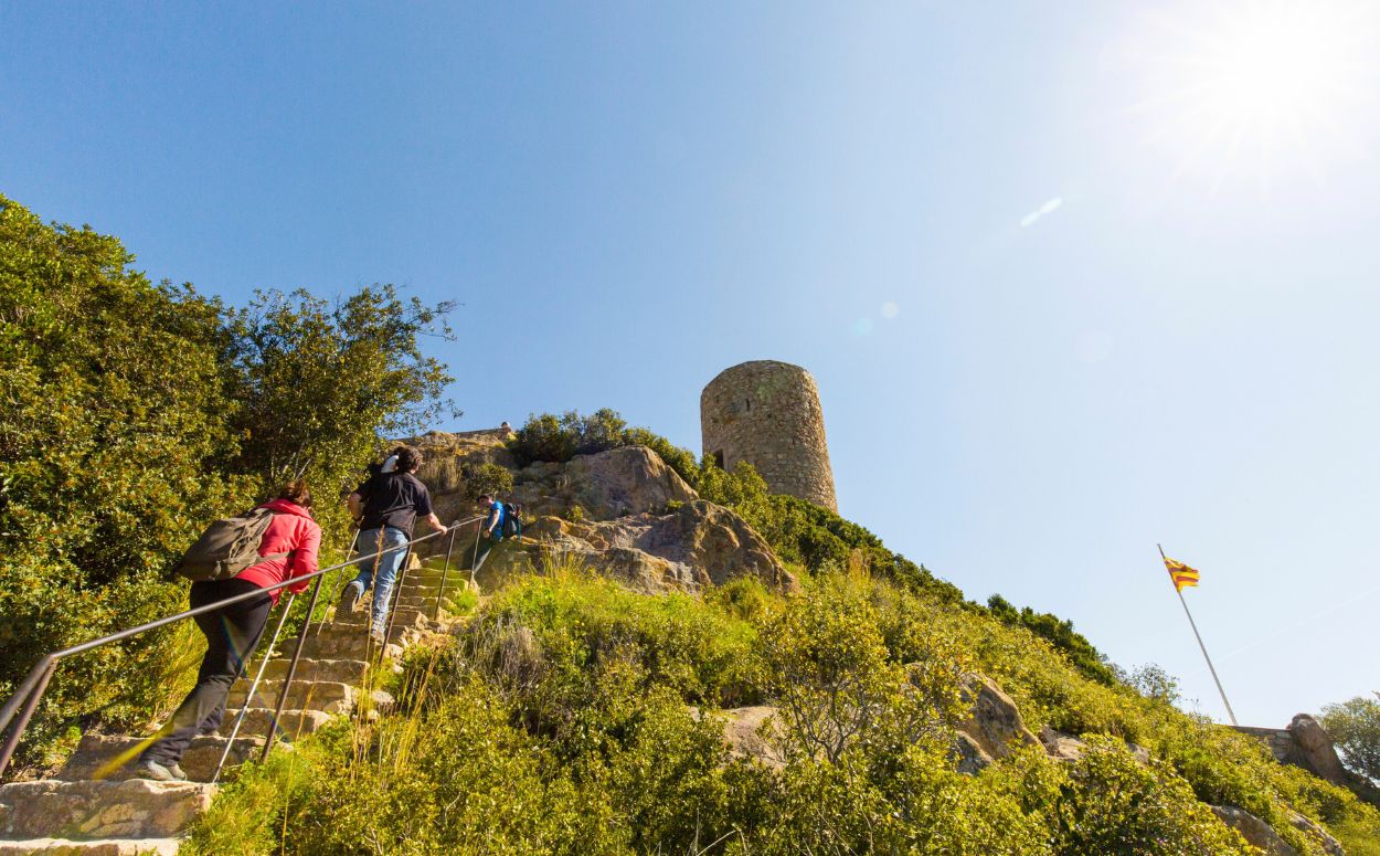 La torre de guaita de Ca l'Alsina