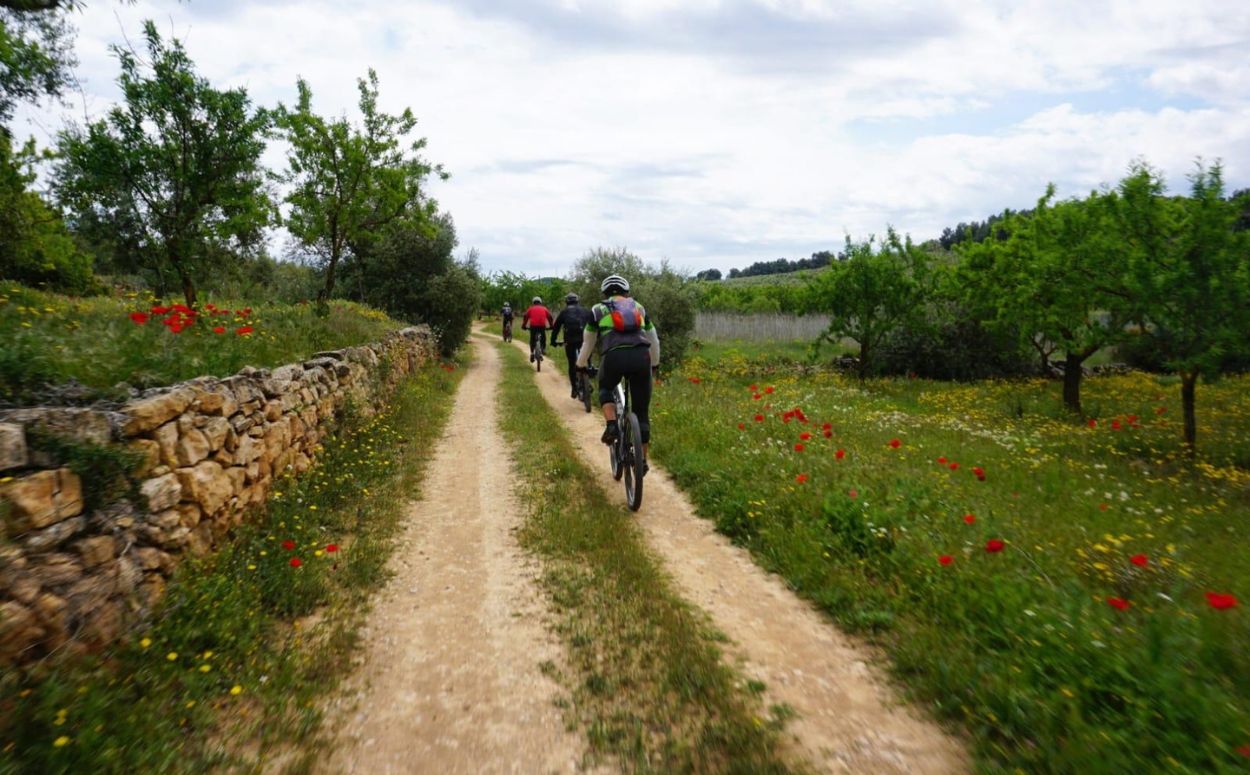 Squies de Lleida