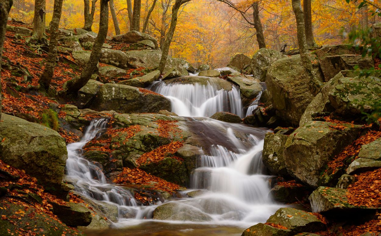 Montseny riera de Passavets 