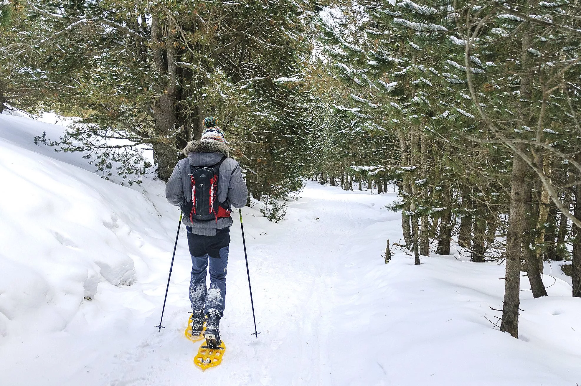 Les raquetes de neu són una bona opció per assolir la majoria dels cims de la Cerdanya.