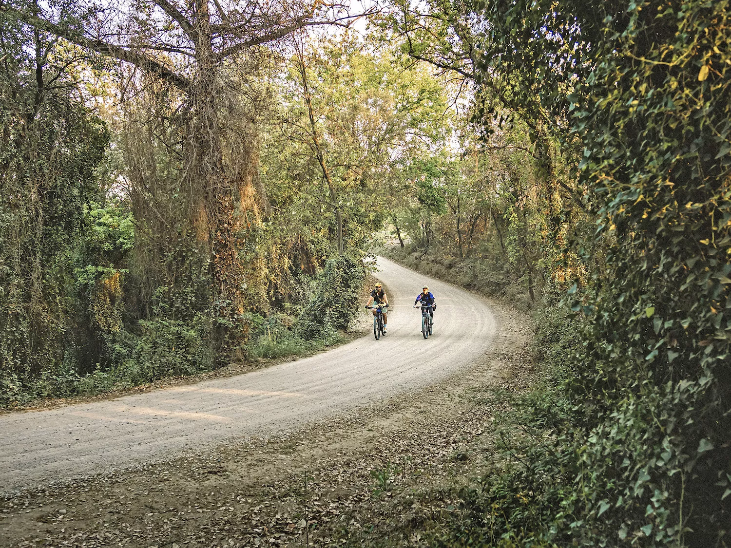 Els membres de l’expedició avancen a bon ritme amb les bicicletes i gaudeixen del paisatge d’interior