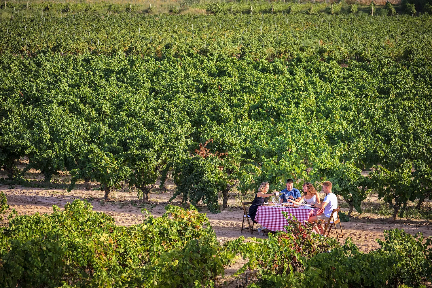 Andròmines, vins i formatges