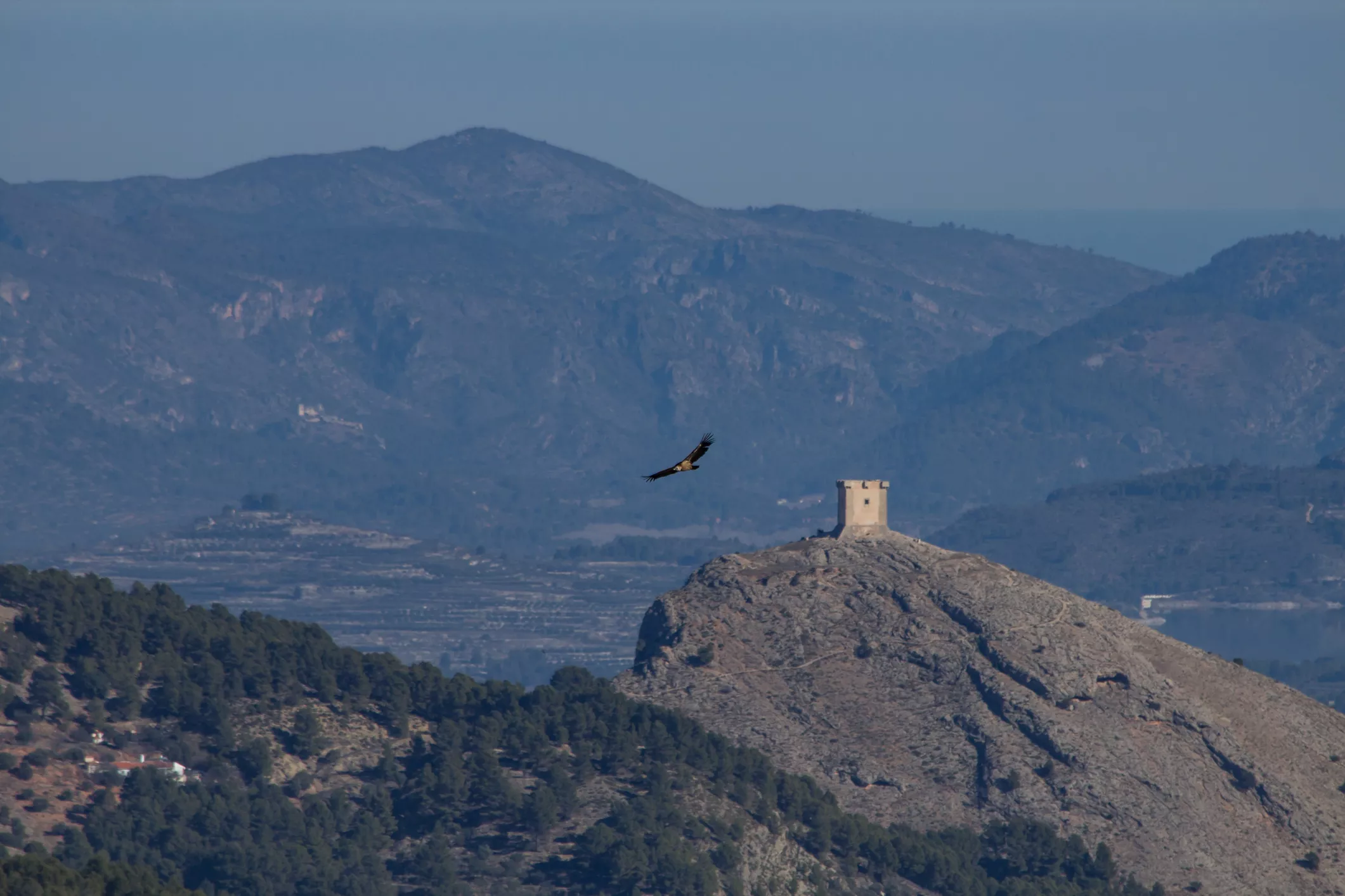 Castell de Cocentaina