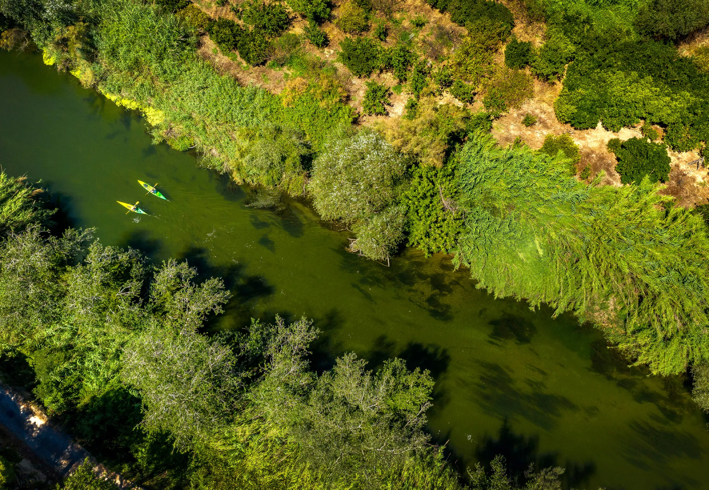 Dos caiacs naveguen pel riu Ebre, entre boscos de ribera i conreus, al terme de Benifallet