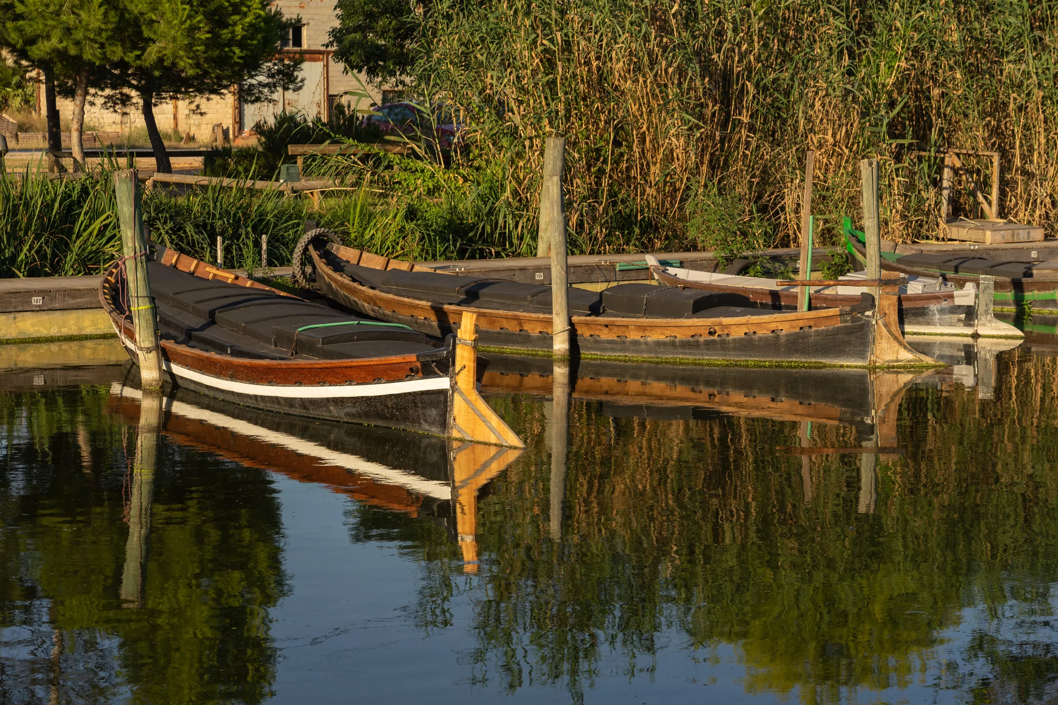 Port de barques tradicionals de Catarroja