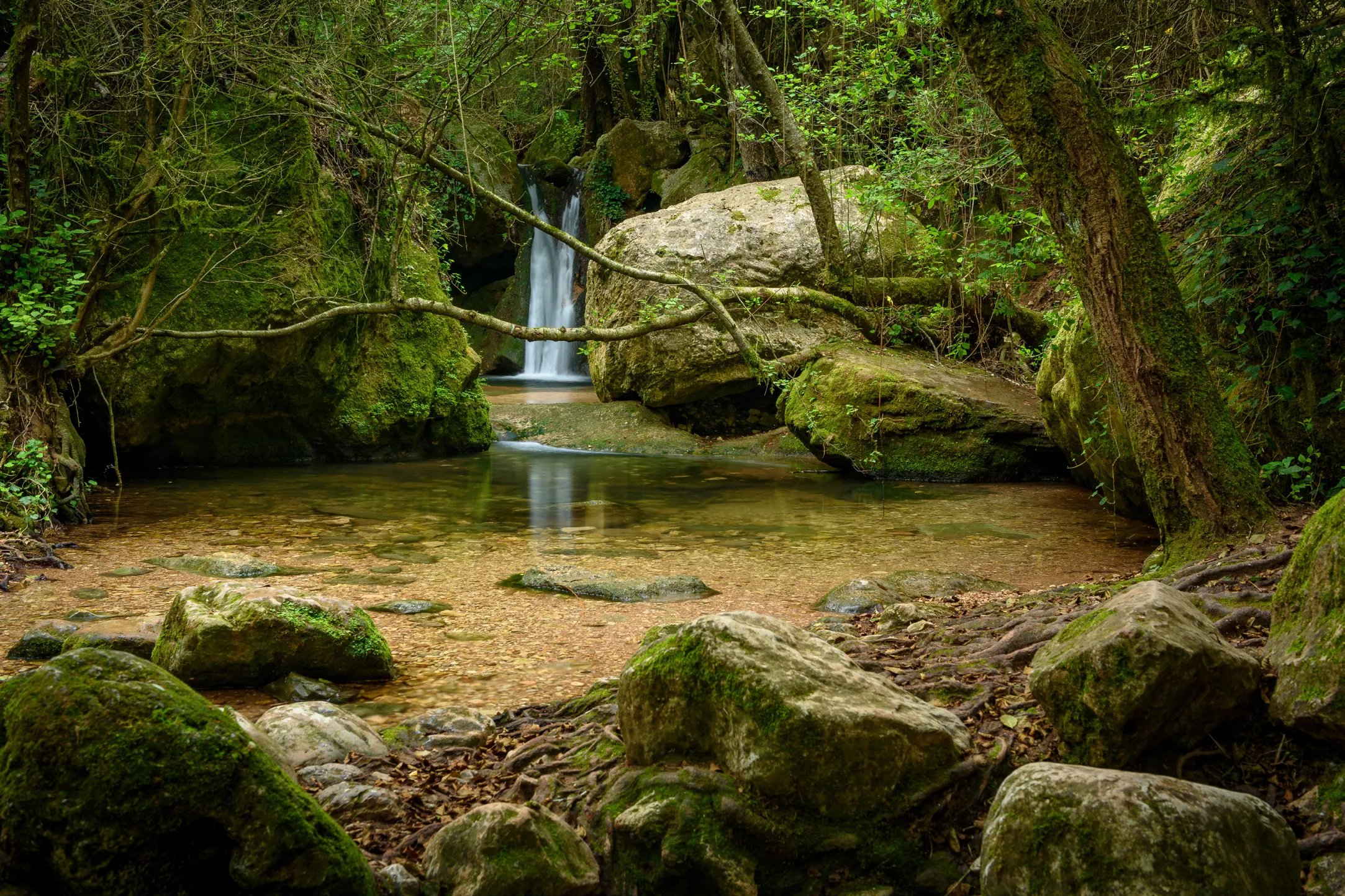 El gorg de la Sort és un dels secrets més ben guardats del Montseny