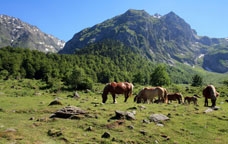 Vall d'Aran