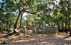 Dolmen de la Cova d’en Daina, a Santa Cristina d’Aro