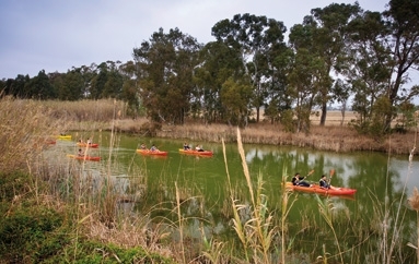 Navegueu per l'Ebre en caiac