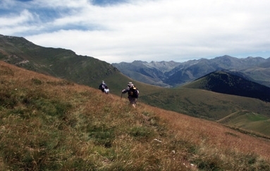 Una de les etapes de la ruta 'Camins vius'