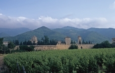 El monestir i el bosc de Poblet