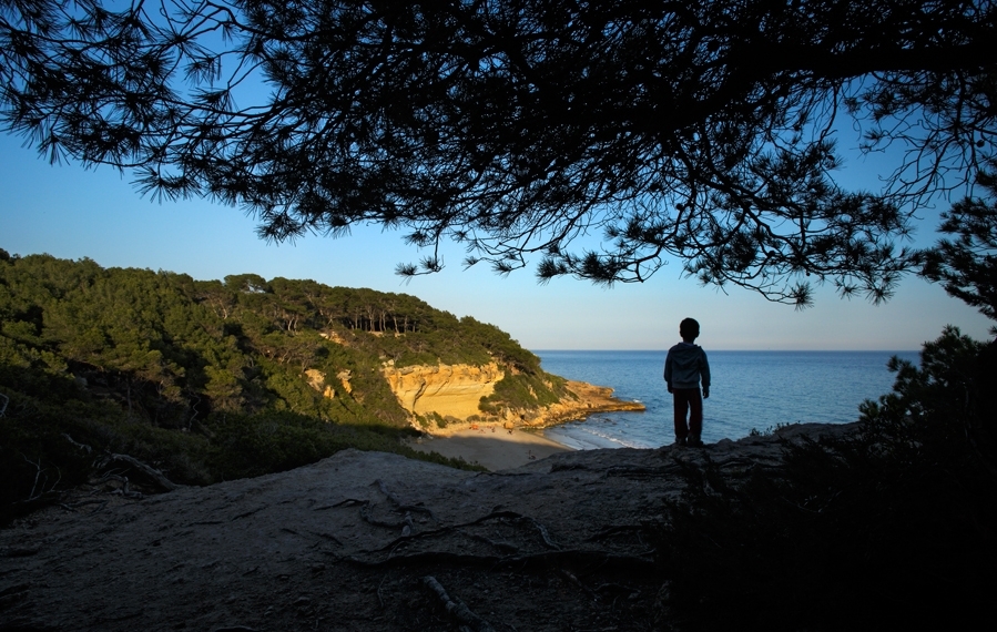 La cala Fonda, al municipi de Tarragona, és un paradís d'aigües transparents envoltat pel bosc de la Marquesa, un espai natural protegit.