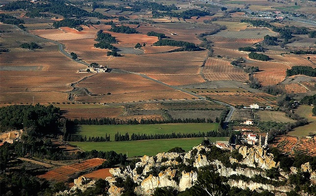 Camps de conreu i vinyes a la Conca de Barberà, des del castell de Prenafeta