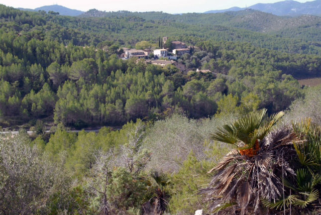 Vila d'Olivella des del coll del Triador