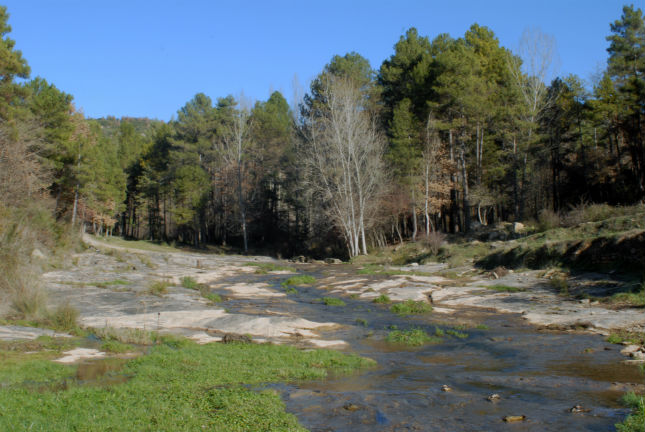 La riera de Navel 