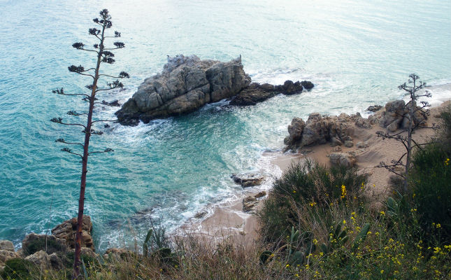 Platja de la Roca Grossa