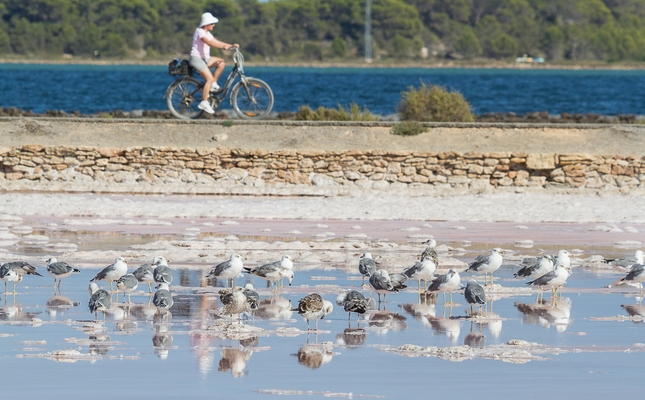 Parc Natural de ses Salines d'Eivissa i Formentera