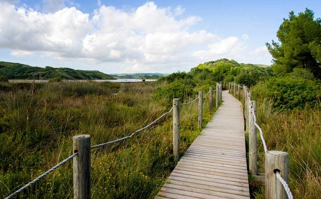 Parc Natural de s’Albufera des Grau (Menorca)