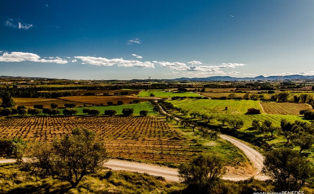 Mirador de la Cadira, a Torrelavit