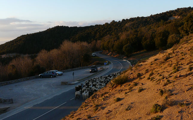 Coll de Bordoriol