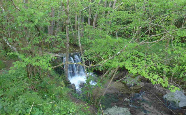 Salt del Molí de Baix de Viladrau