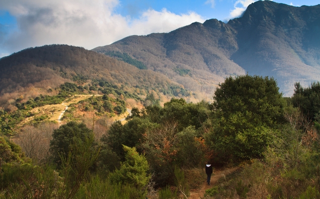 Coll de Sant Marçal