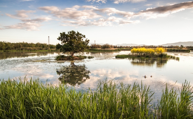 Aiguamolls de l'Empordà