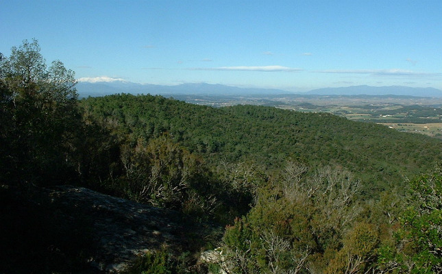 El massís de les Gavarres