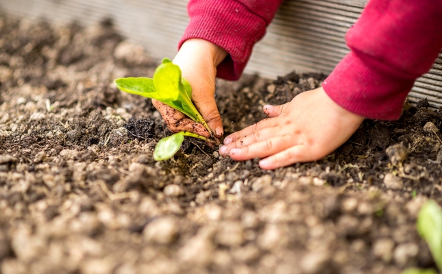 Més de 140 entitats omplen la graella d’activitats de la Setmana de la Natura