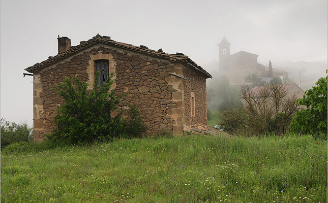 Diàlegs mutus amb les sàvies pedres de Madrona