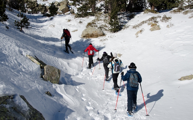 Raquetes de neu