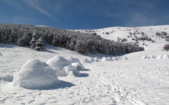 Ohmamiglu a la Molina