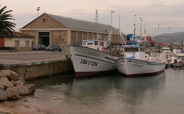 Barques i museu de la pesca de Palamós