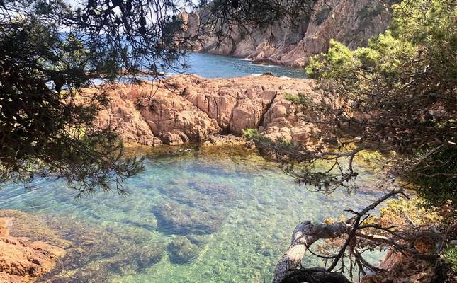 Aigua Xelida, una platja verge a Tamariu