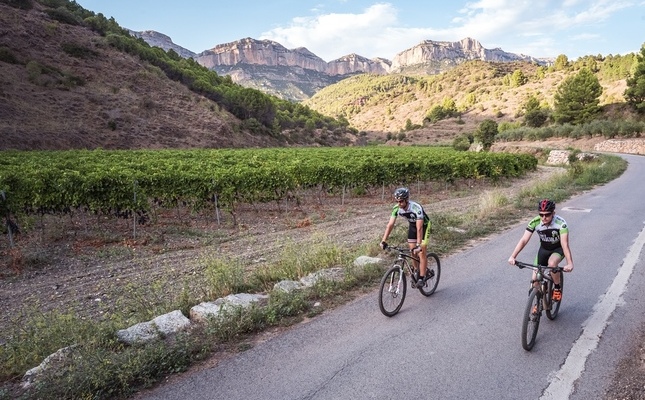 Dos ciclistes fent la ruta Pedals del Priorat