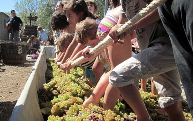 Una de les activitats de la verema als cellers de la DO Empordà