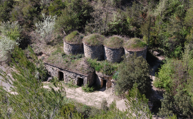 Les tines de la vall del Flaquer al Bages