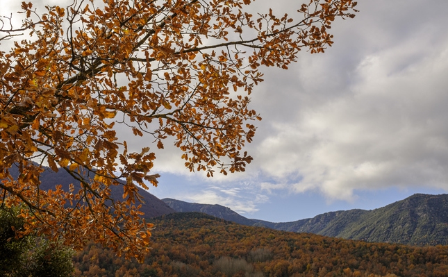 Paisatge de tardor a l'entorn de Viladrau