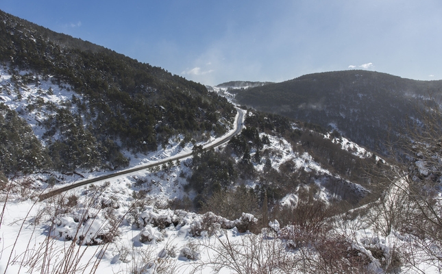 El camí que porta de Rubió al refugi de Comes de Rubió