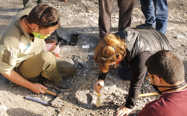 Els geòlegs, Íngrit Soriguera i Jordi Vilà, desenterrant el fòssil de la costella de vaca marina