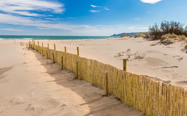 Les dunes de la platja de la Pletera