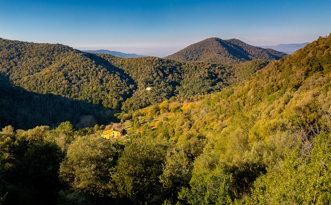 El Montnegre, amb els densos boscos que li donen nom - La vall d'Olzinelles al cor del Montnegre