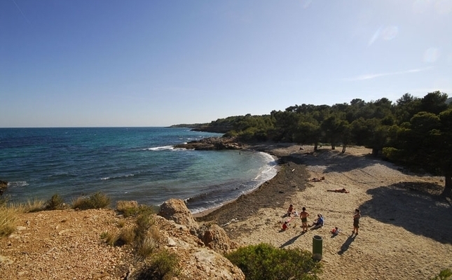 La petita cala de l’Estany Podrit, rodejada de pins