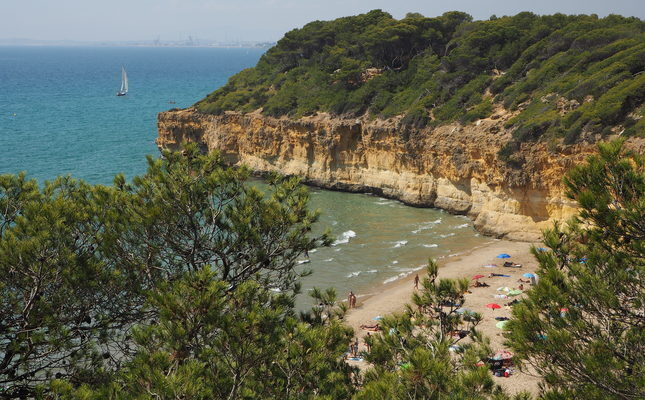 La cala Waikiki o cala Fonda des del bosc de la Marquesa