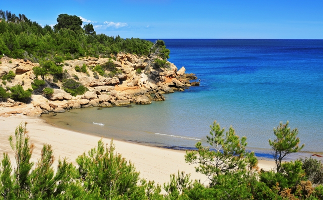 Panoràmica de la platja del Torn