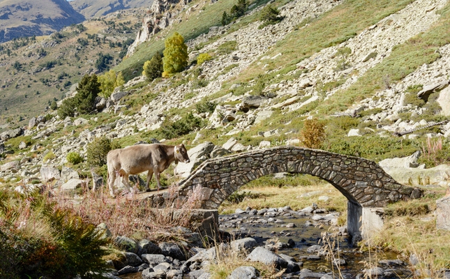 Pont de pedra al camí de l’Obac, a la vall d’Incles